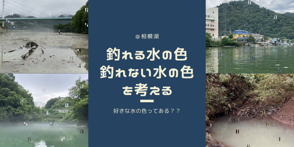 フットボールジグはリザーバーでの一手となるか 相模湖バス釣り 初バスget ナマローブログzero