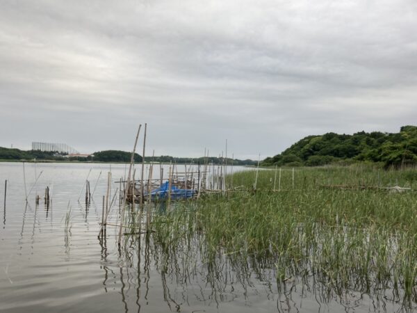 牛久沼5月のバス釣りを深堀りしておく 牛久沼たまや22年5月大会 ナマローブログzero